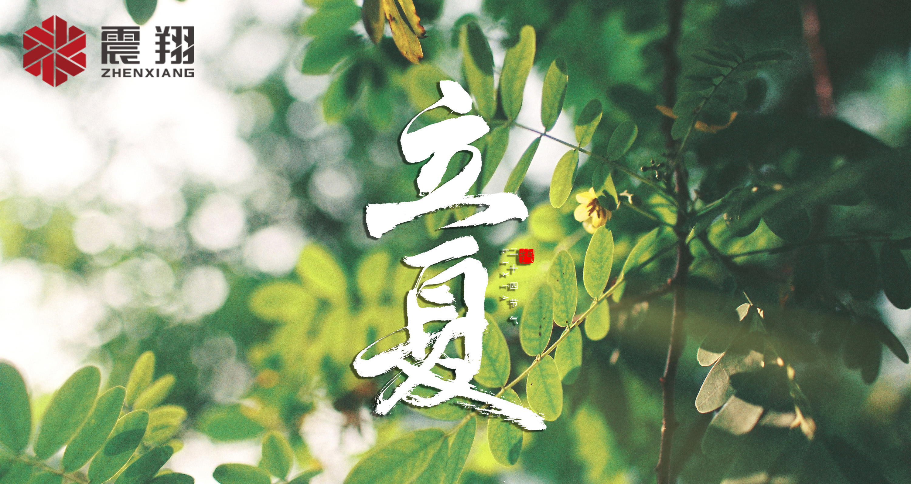 【立夏】春去春來(lái)不曾留意，夏日當(dāng)歸，撲面而來(lái)